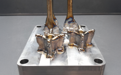 ATILA Project: Meltio metal 3D printing pioneers titanium biomedical implants